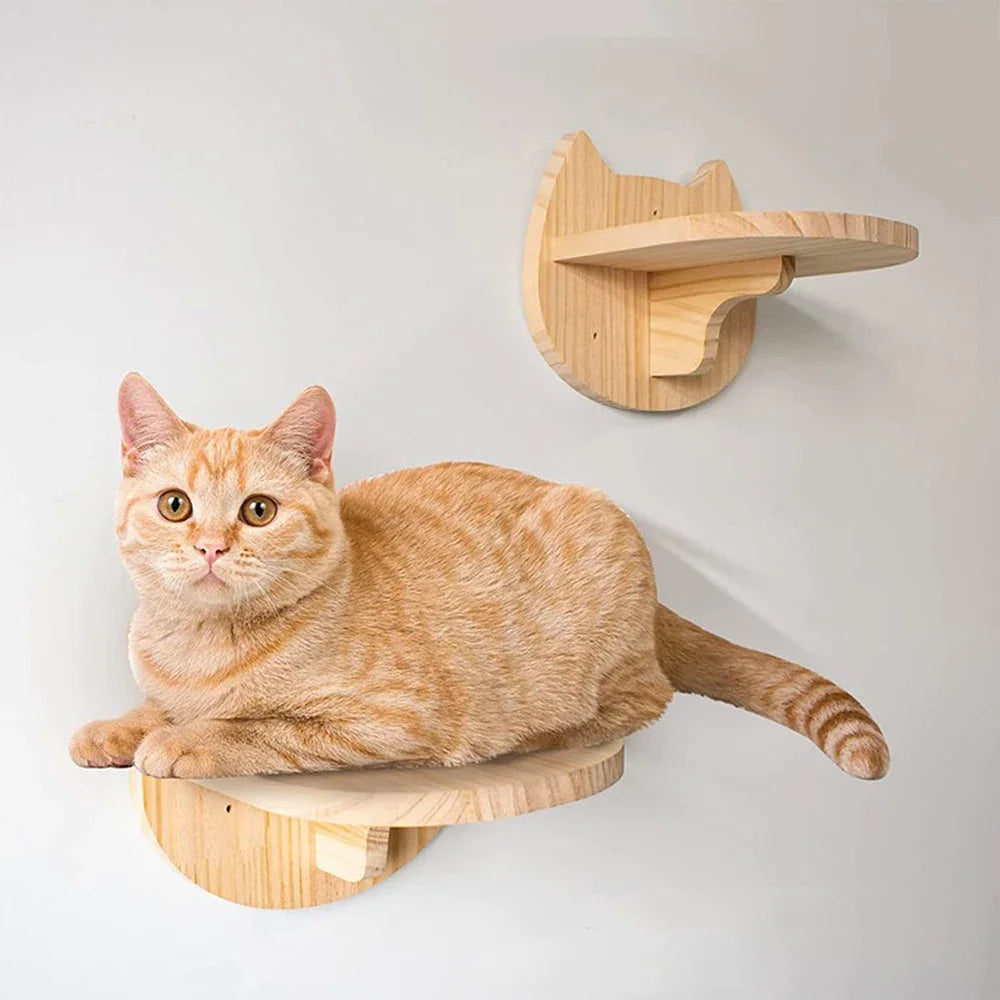 Cat Wall Climbing Shelf and Ladder with Scratching Post and Hiding House - Pet Furniture Tree Tower Accessories