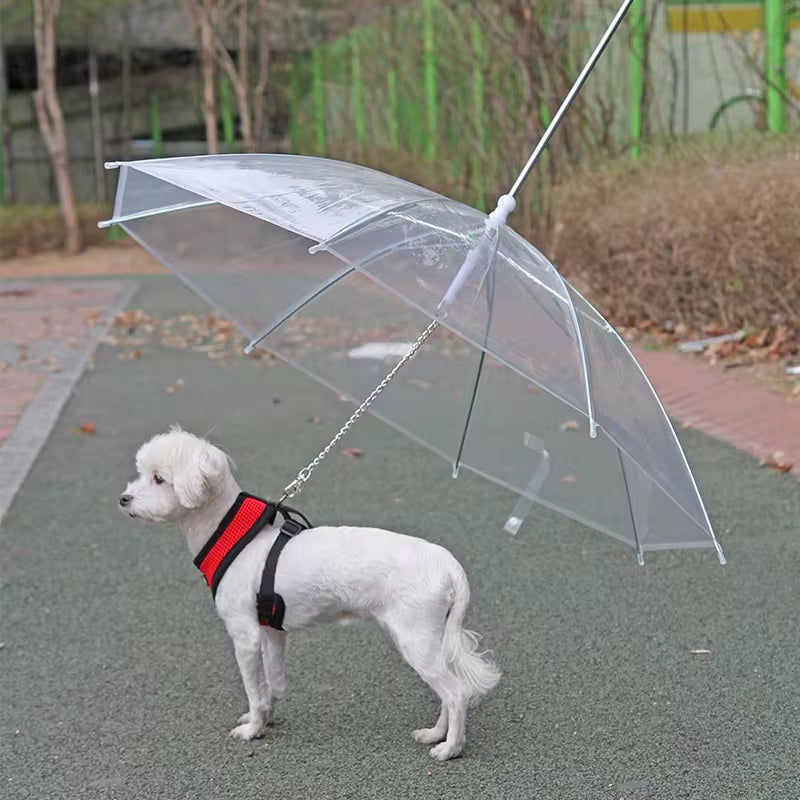 2022 Adjustable Rainproof and Snowproof Umbrella Leash for Small Dogs